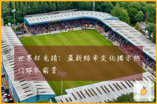 世界杯竞猜：最新赔率变化揭示热门球队前景