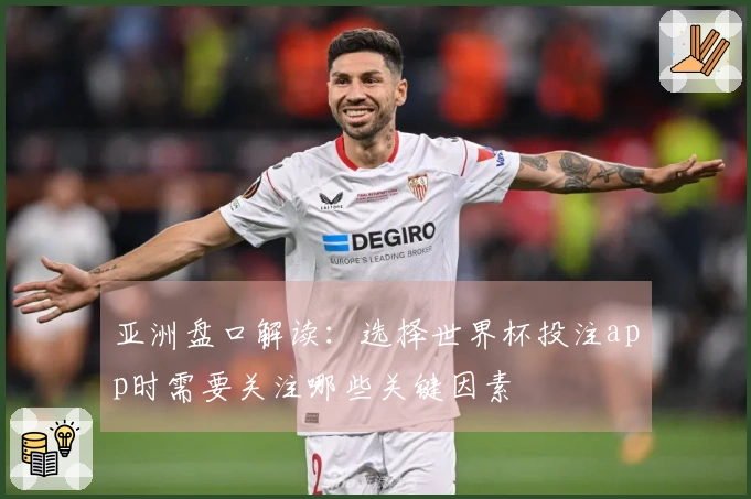 亚洲盘口解读：选择世界杯投注app时需要关注哪些关键因素