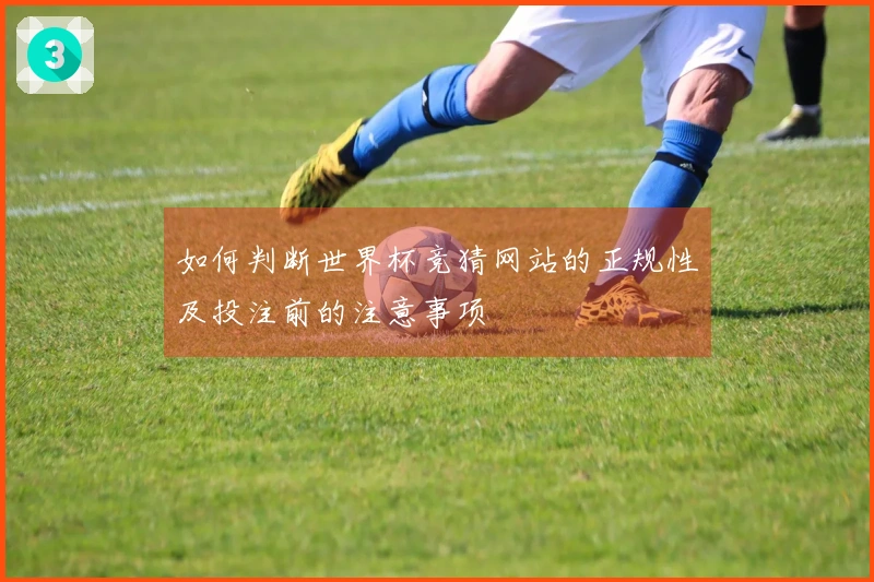 如何判断世界杯竞猜网站的正规性及投注前的注意事项