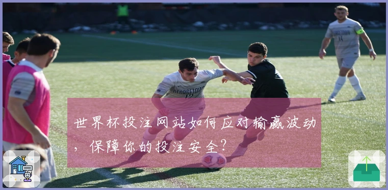 世界杯投注网站如何应对输赢波动，保障你的投注安全？