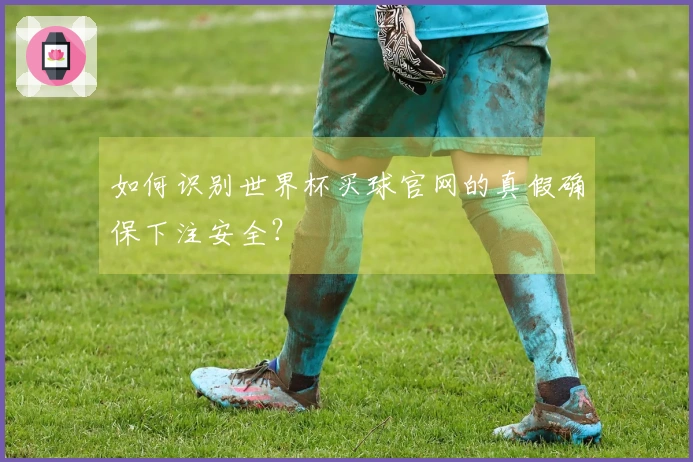 如何识别世界杯买球官网的真假确保下注安全？