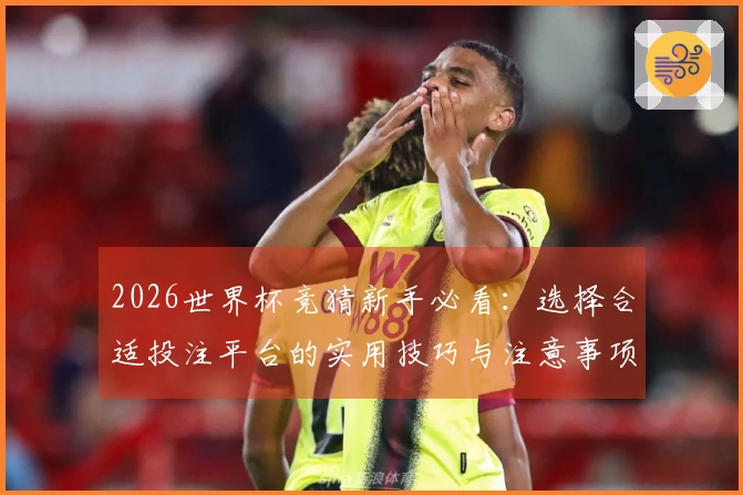 2026世界杯竞猜新手必看：选择合适投注平台的实用技巧与注意事项