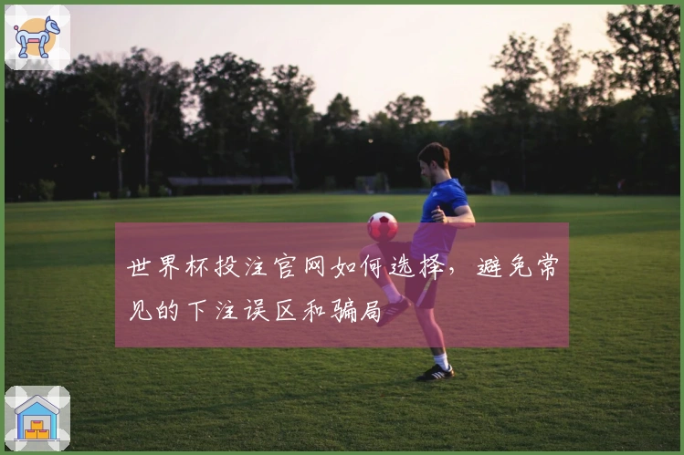 世界杯投注官网如何选择，避免常见的下注误区和骗局