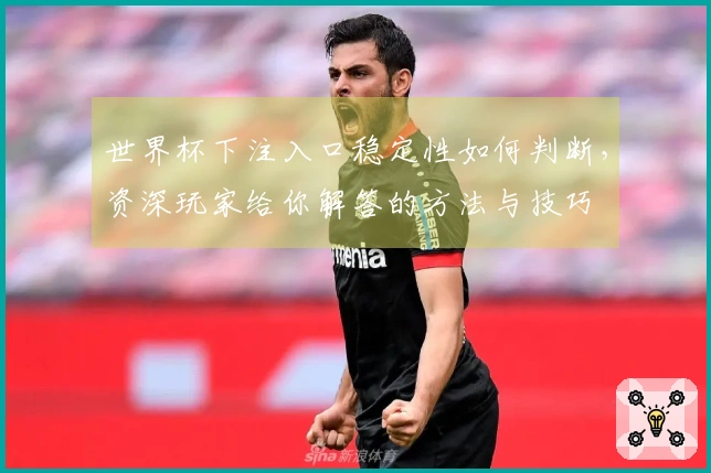 世界杯下注入口稳定性如何判断，资深玩家给你解答的方法与技巧
