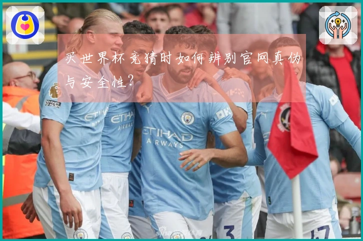 买世界杯竞猜时如何辨别官网真伪与安全性？