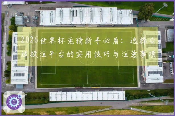 2026世界杯竞猜新手必看：选择合适投注平台的实用技巧与注意事项