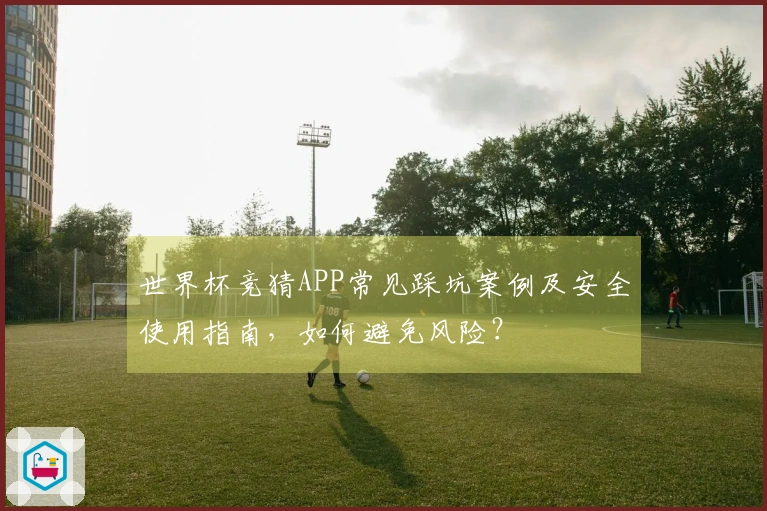 世界杯竞猜APP常见踩坑案例及安全使用指南，如何避免风险？
