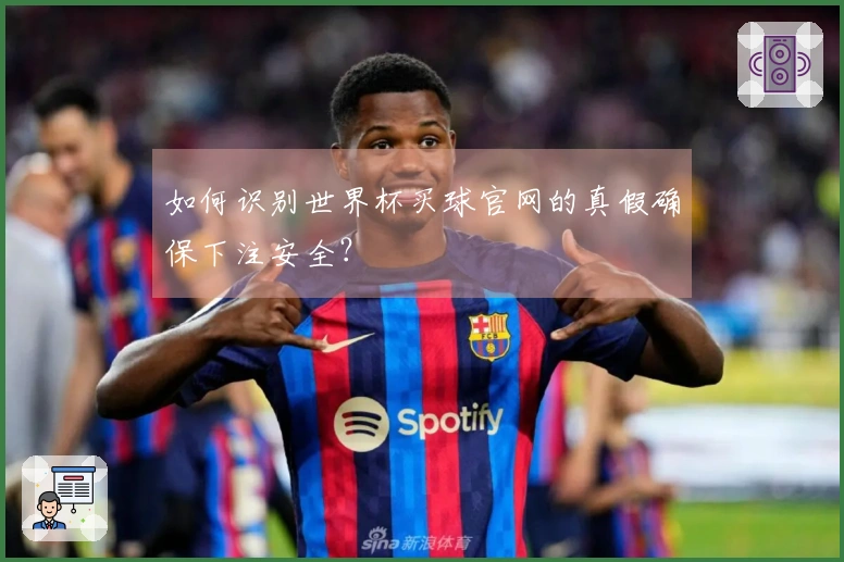 如何识别世界杯买球官网的真假确保下注安全?