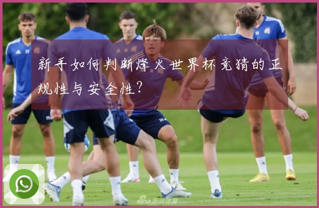 新手如何判断烽火世界杯竞猜的正规性与安全性?