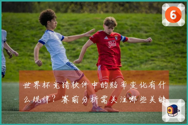 世界杯竞猜软件中的赔率变化有什么规律？赛前分析需关注哪些关键因素？