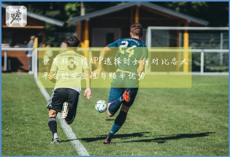 世界杯竞猜APP选择时如何对比各大平台的安全性与赔率优势