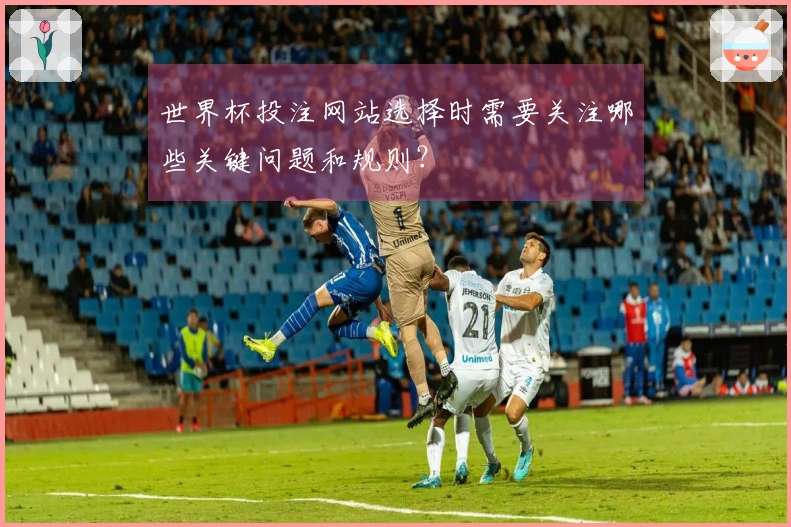 世界杯投注网站选择时需要关注哪些关键问题和规则？