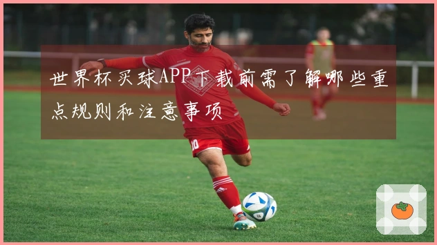 世界杯买球APP下载前需了解哪些重点规则和注意事项