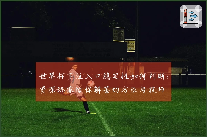 世界杯下注入口稳定性如何判断，资深玩家给你解答的方法与技巧